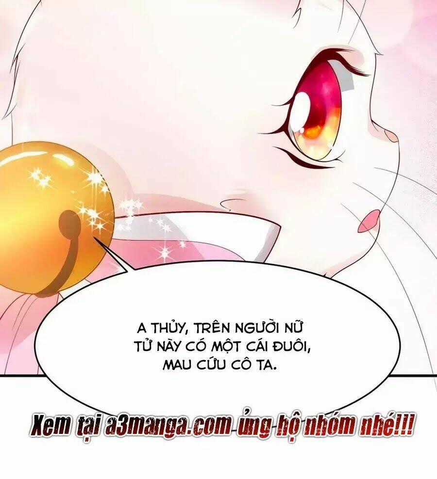 Dưỡng Thú Vi Phi - Chapter 6 - Trang 105