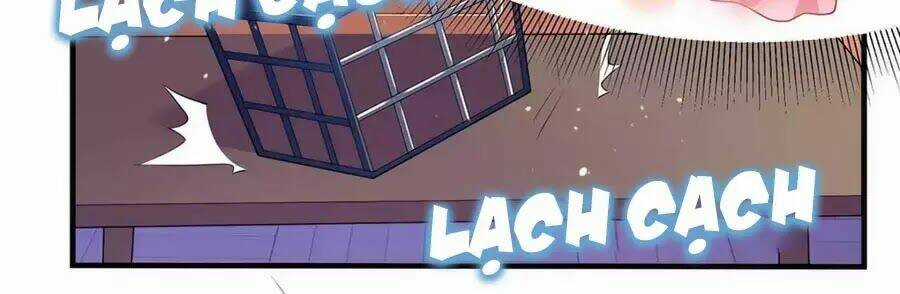 Dưỡng Thú Vi Phi - Chapter 6 - Trang 27