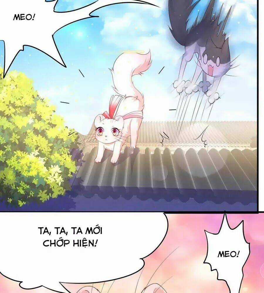 Dưỡng Thú Vi Phi - Chapter 6 - Trang 36