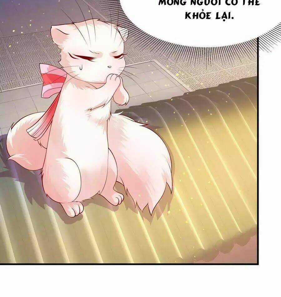 Dưỡng Thú Vi Phi - Chapter 6 - Trang 40