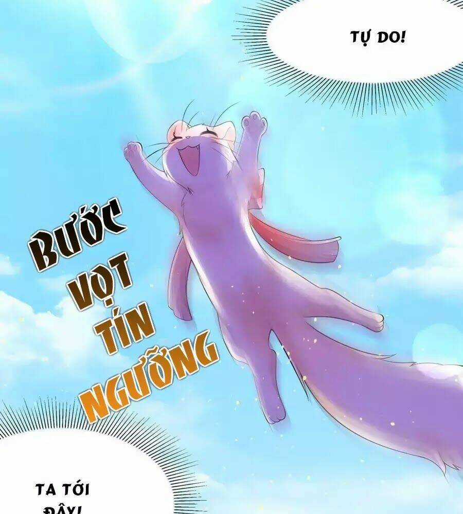 Dưỡng Thú Vi Phi - Chapter 6 - Trang 42