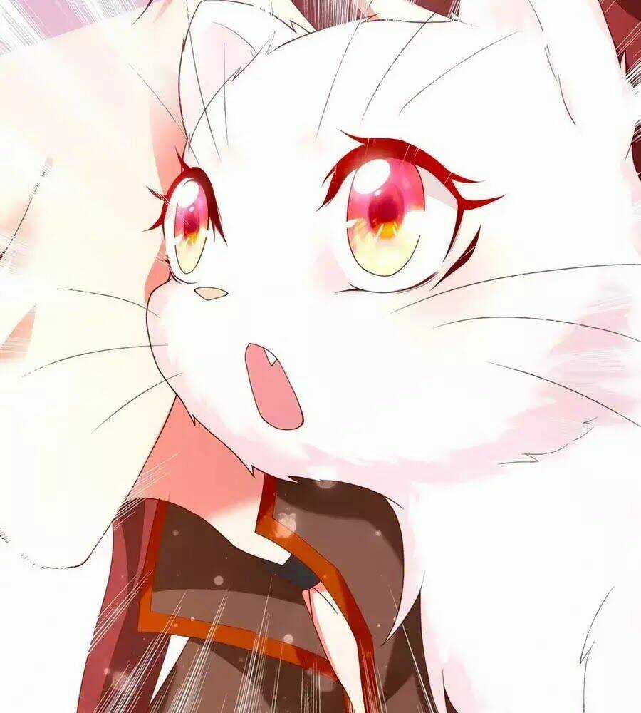 Dưỡng Thú Vi Phi - Chapter 6 - Trang 72