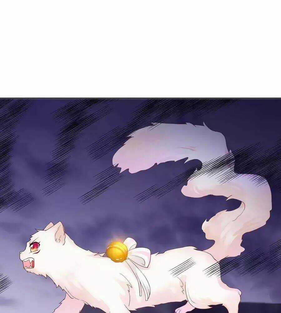 Dưỡng Thú Vi Phi - Chapter 7 - Trang 8