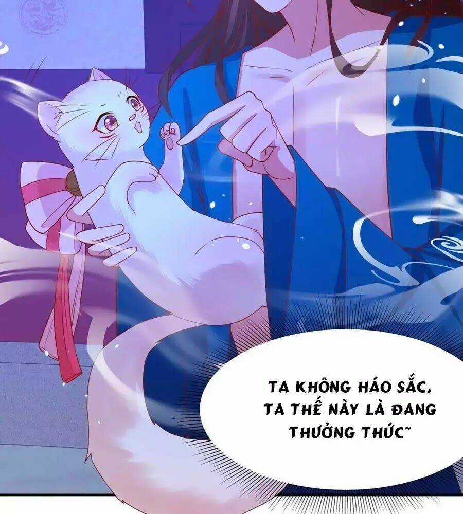 Dưỡng Thú Vi Phi - Chapter 8 - Trang 12