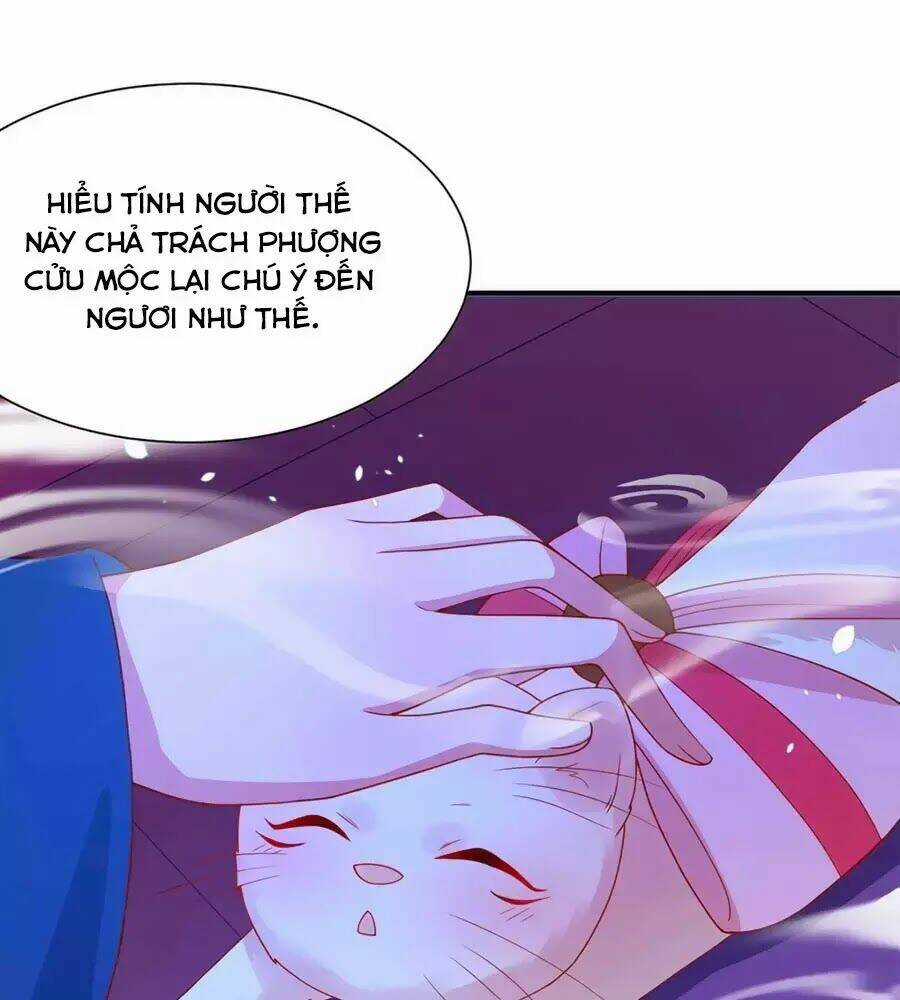 Dưỡng Thú Vi Phi - Chapter 8 - Trang 14