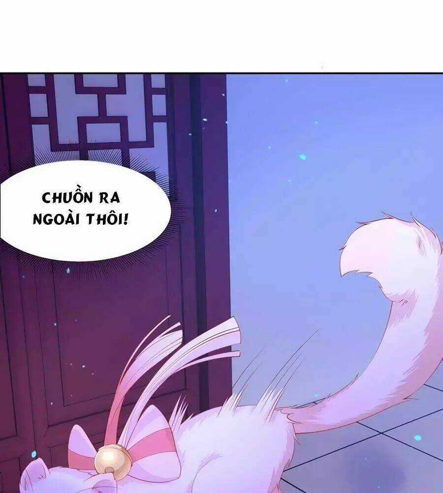 Dưỡng Thú Vi Phi - Chapter 8 - Trang 17