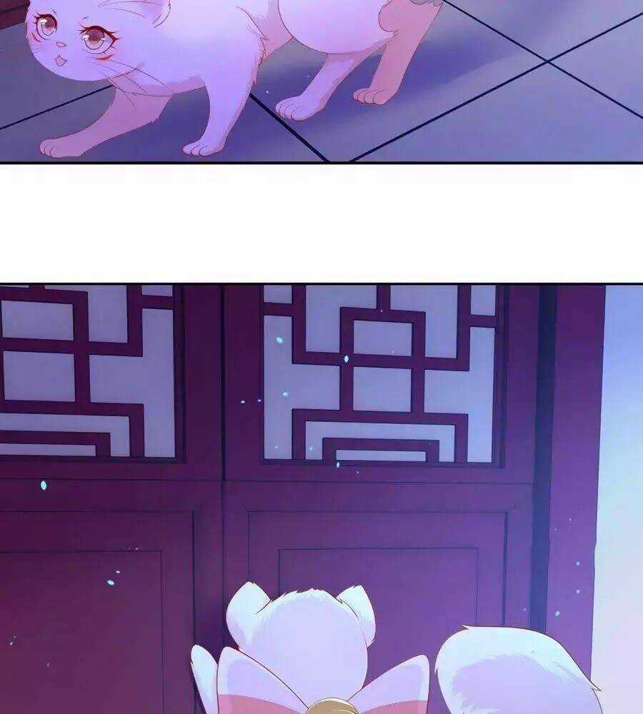 Dưỡng Thú Vi Phi - Chapter 8 - Trang 18