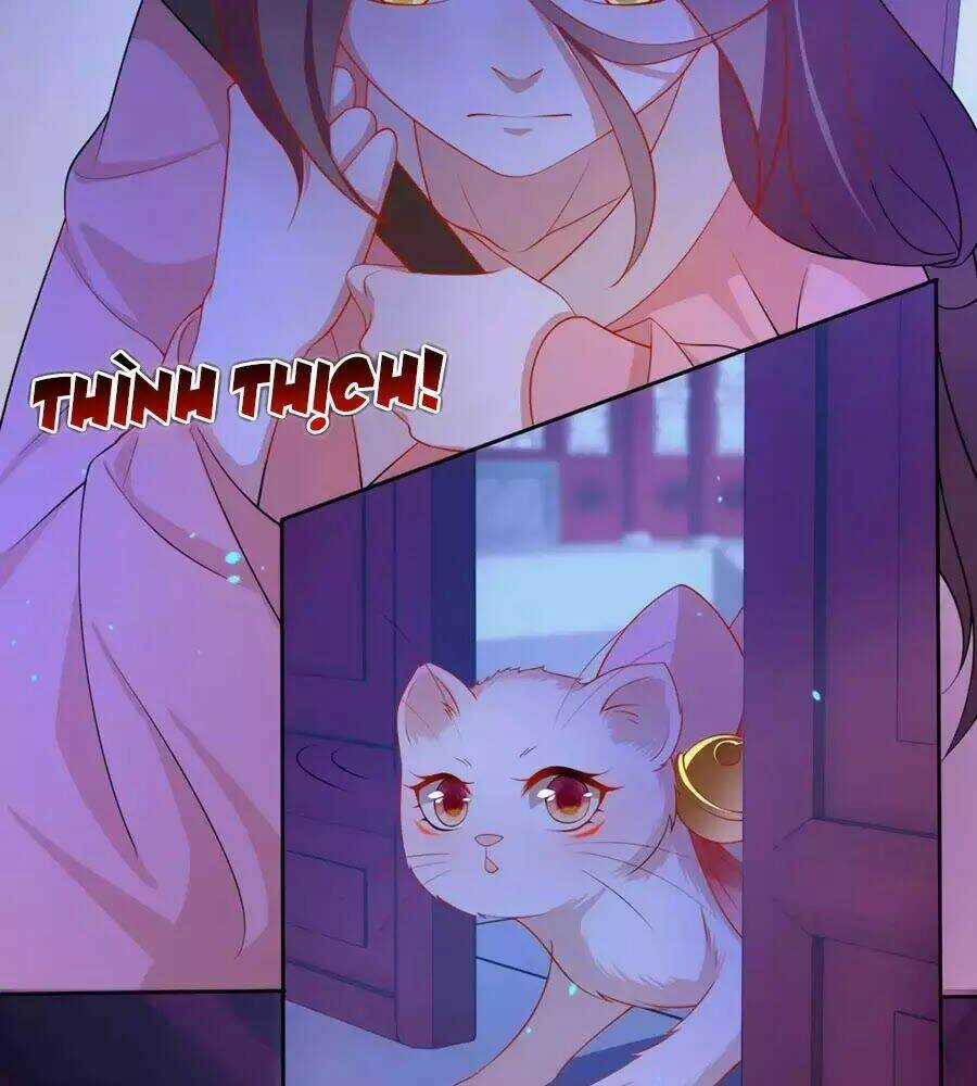 Dưỡng Thú Vi Phi - Chapter 8 - Trang 23