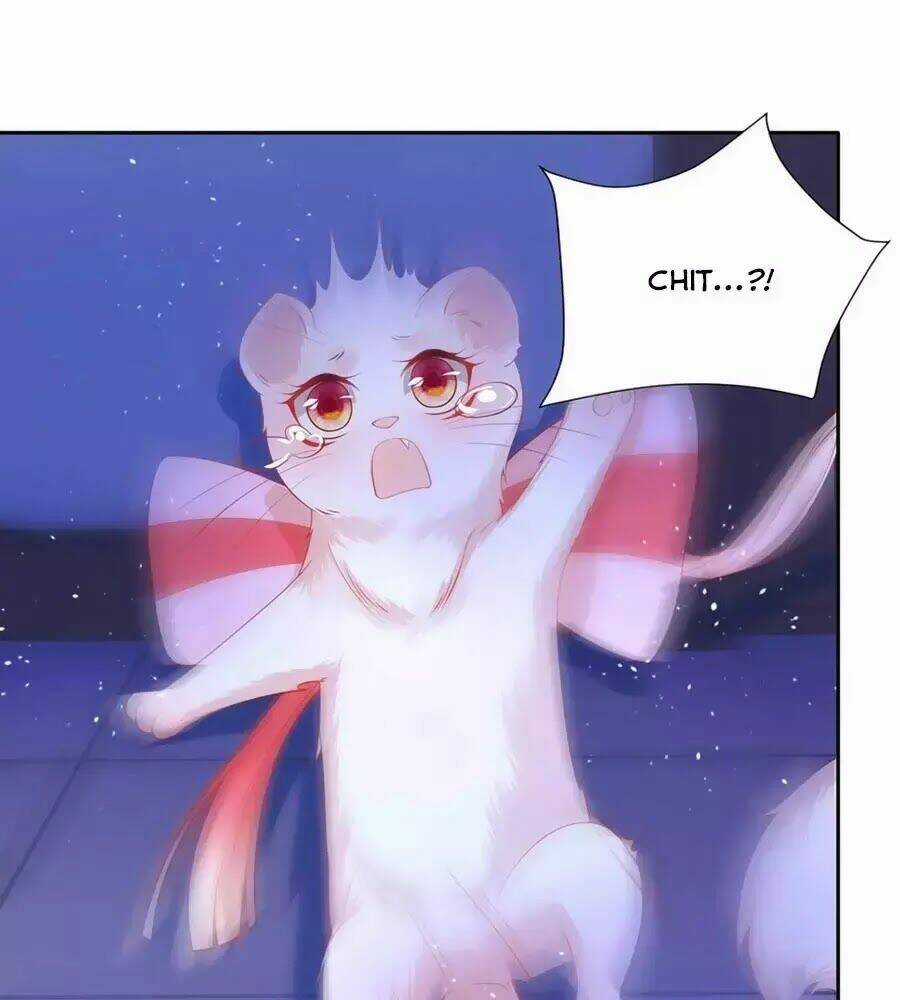 Dưỡng Thú Vi Phi - Chapter 8 - Trang 27