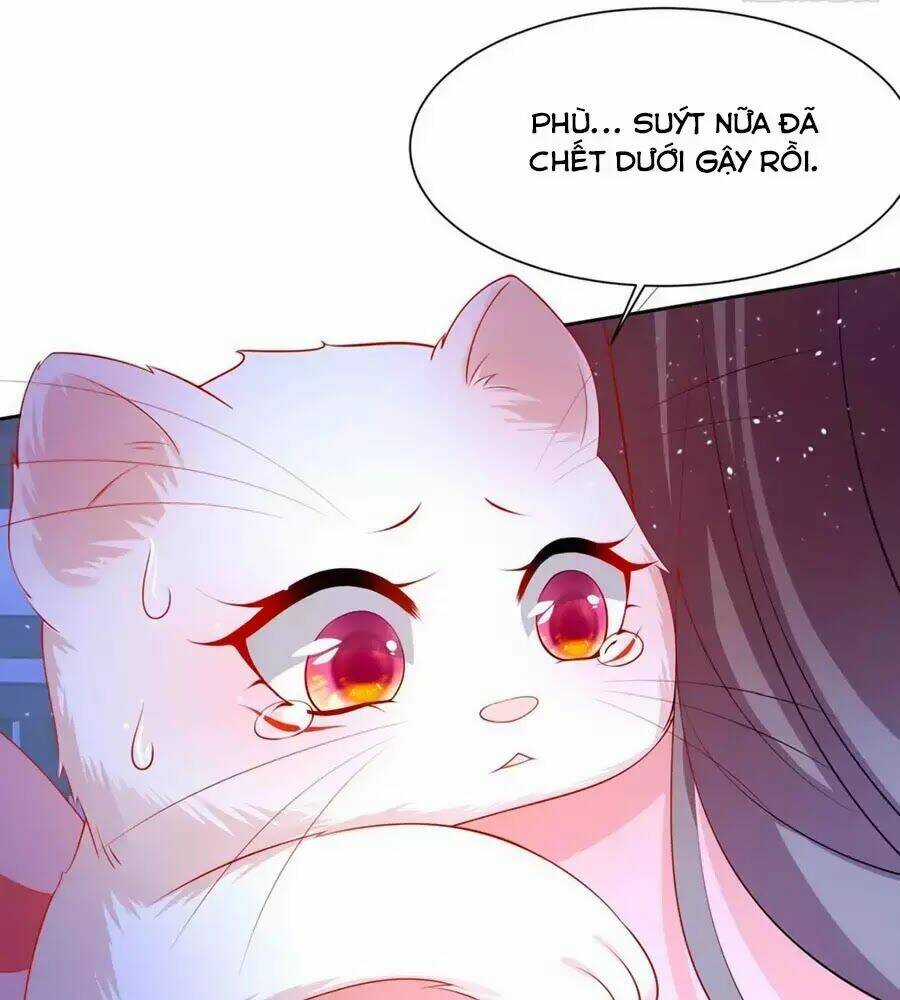 Dưỡng Thú Vi Phi - Chapter 8 - Trang 34