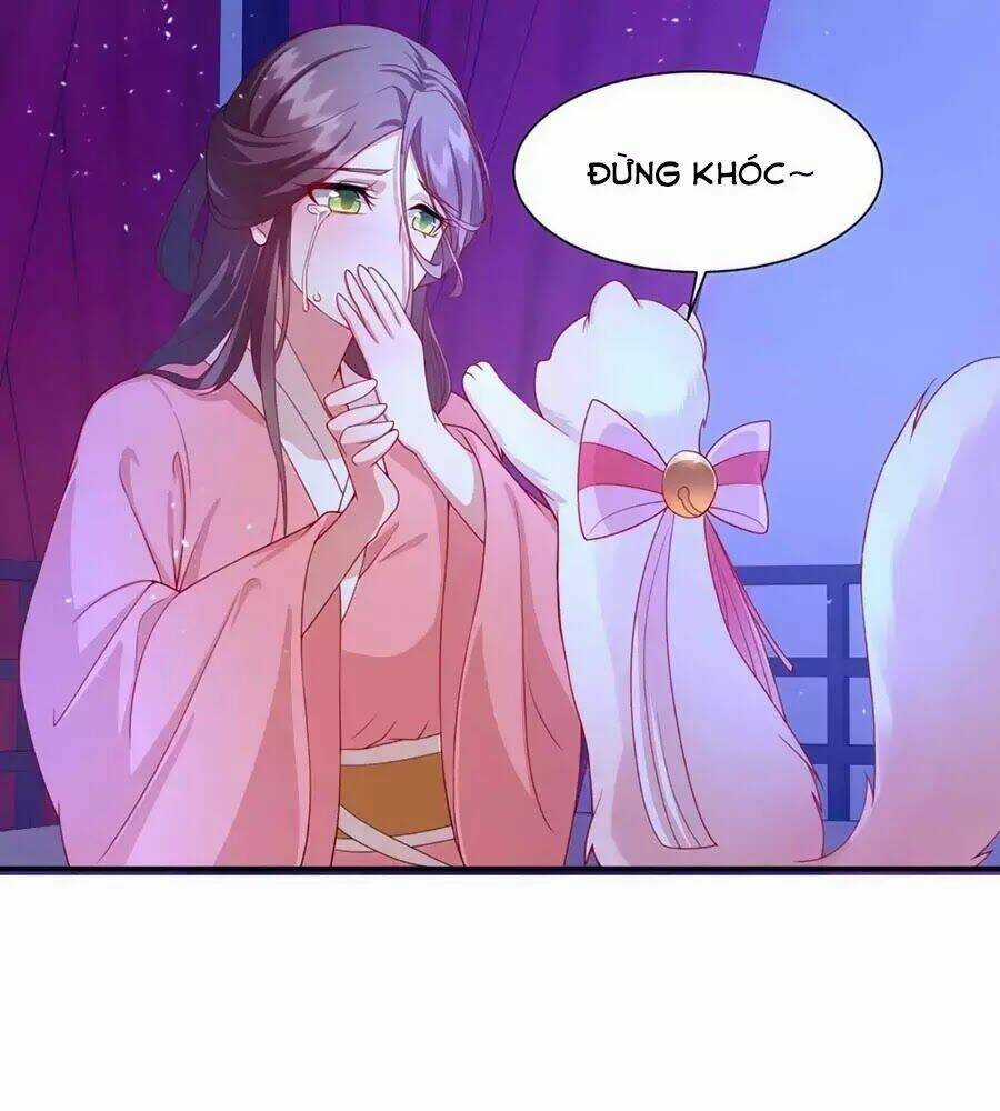 Dưỡng Thú Vi Phi - Chapter 8 - Trang 66