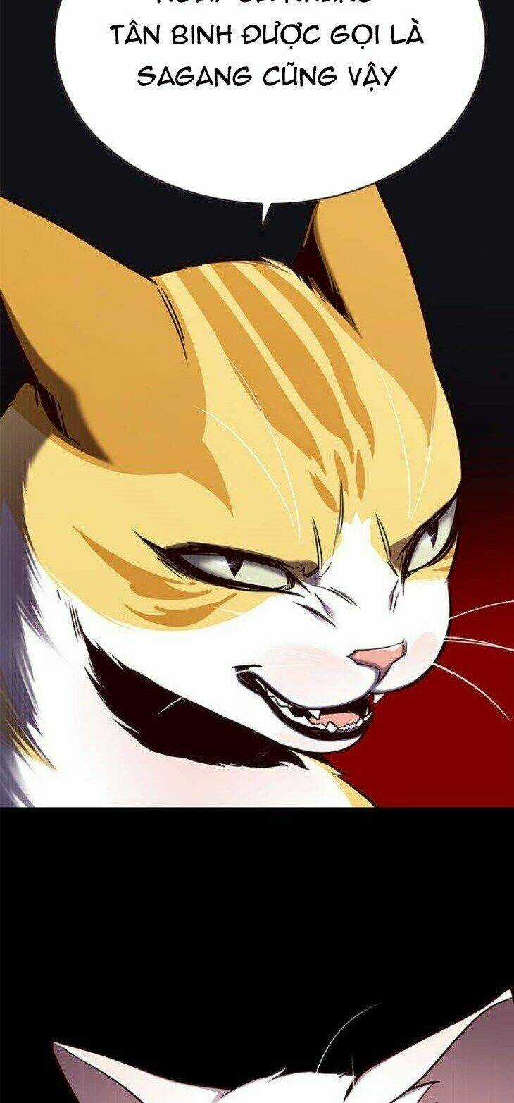 Eleceed - Hoá Thân Thành Mèo - Chapter 146 - Trang 42