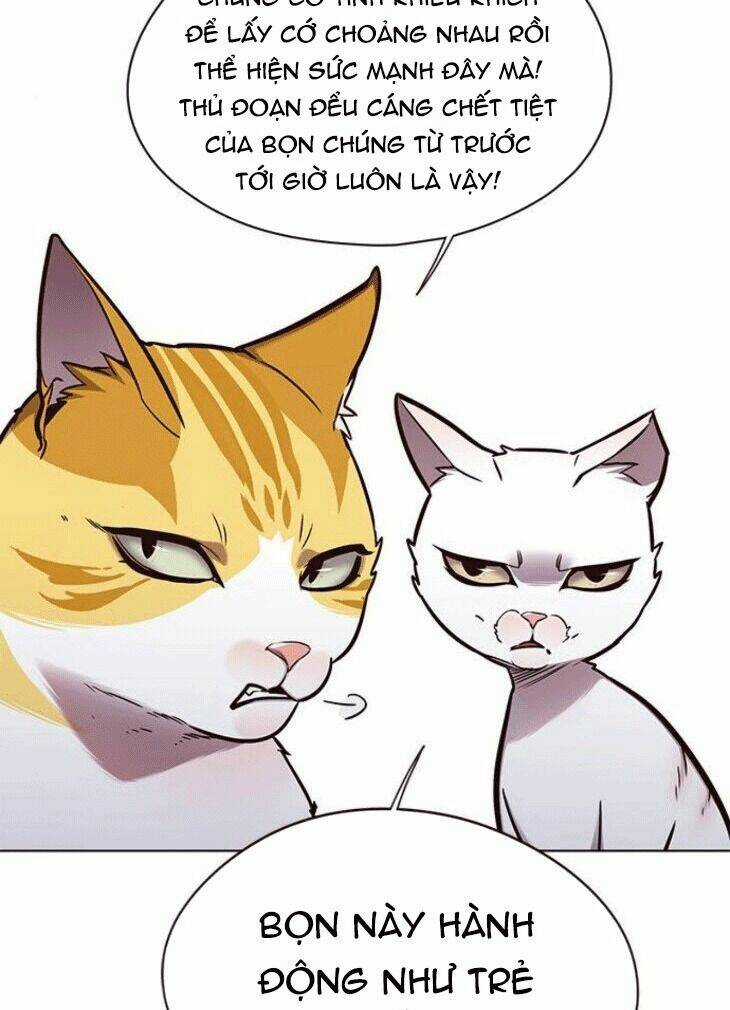 Eleceed - Hoá Thân Thành Mèo - Chapter 148 - Trang 3