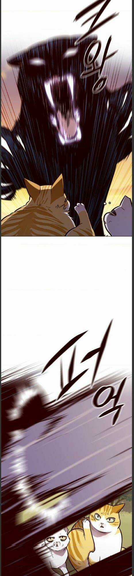 Eleceed - Hoá Thân Thành Mèo - Chapter 161 - Trang 21