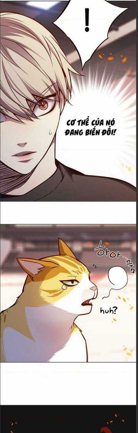 Eleceed - Hoá Thân Thành Mèo - Chapter 162 - Trang 30