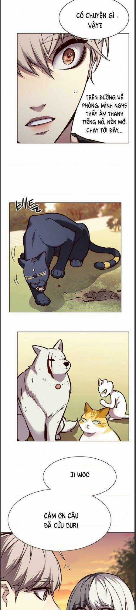 Eleceed - Hoá Thân Thành Mèo - Chapter 162 - Trang 9