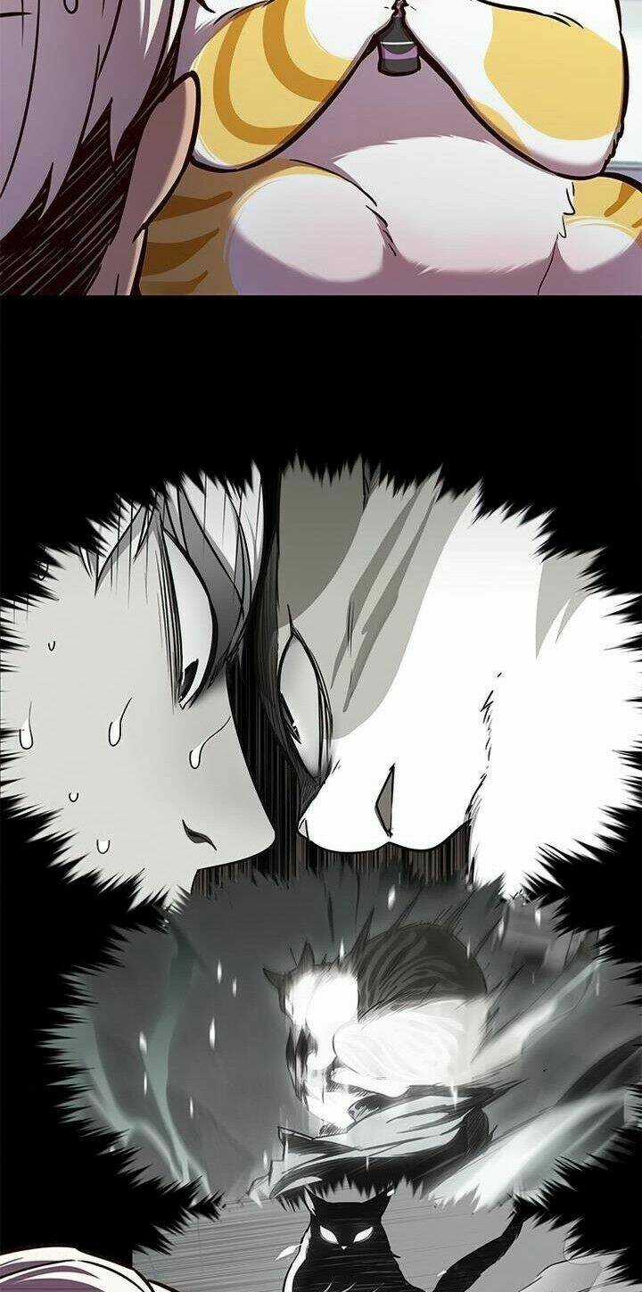 Eleceed - Hoá Thân Thành Mèo - Chapter 165 - Trang 6