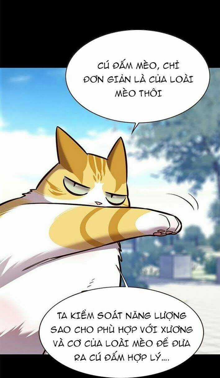 Eleceed - Hoá Thân Thành Mèo - Chapter 166 - Trang 27
