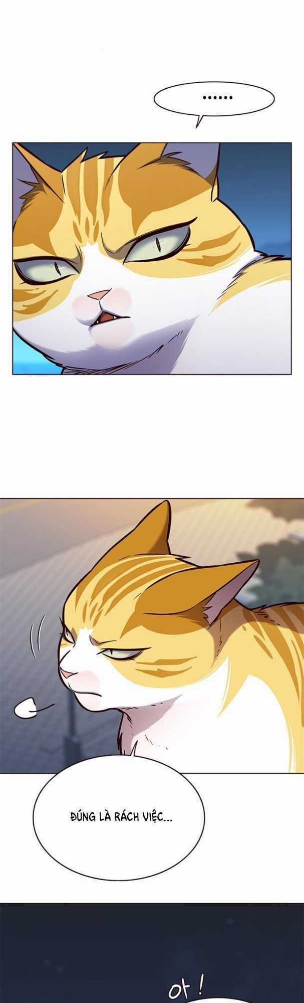 Eleceed - Hoá Thân Thành Mèo - Chapter 169 - Trang 37