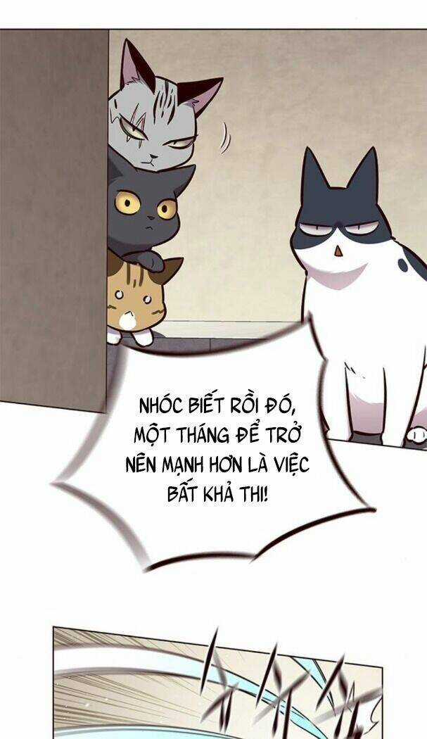 Eleceed - Hoá Thân Thành Mèo - Chapter 174 - Trang 31