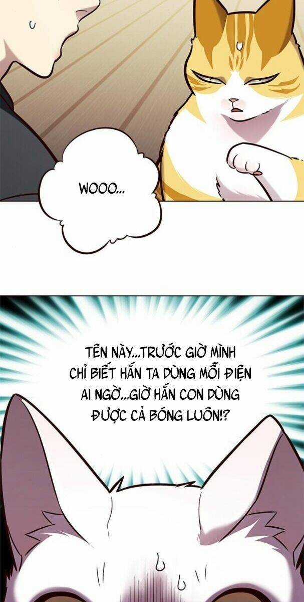 Eleceed - Hoá Thân Thành Mèo - Chapter 174 - Trang 52
