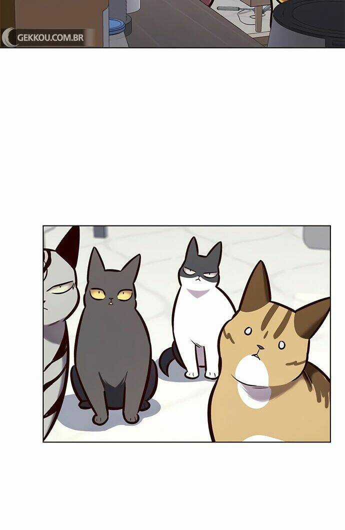 Eleceed - Hoá Thân Thành Mèo - Chapter 188 - Trang 34