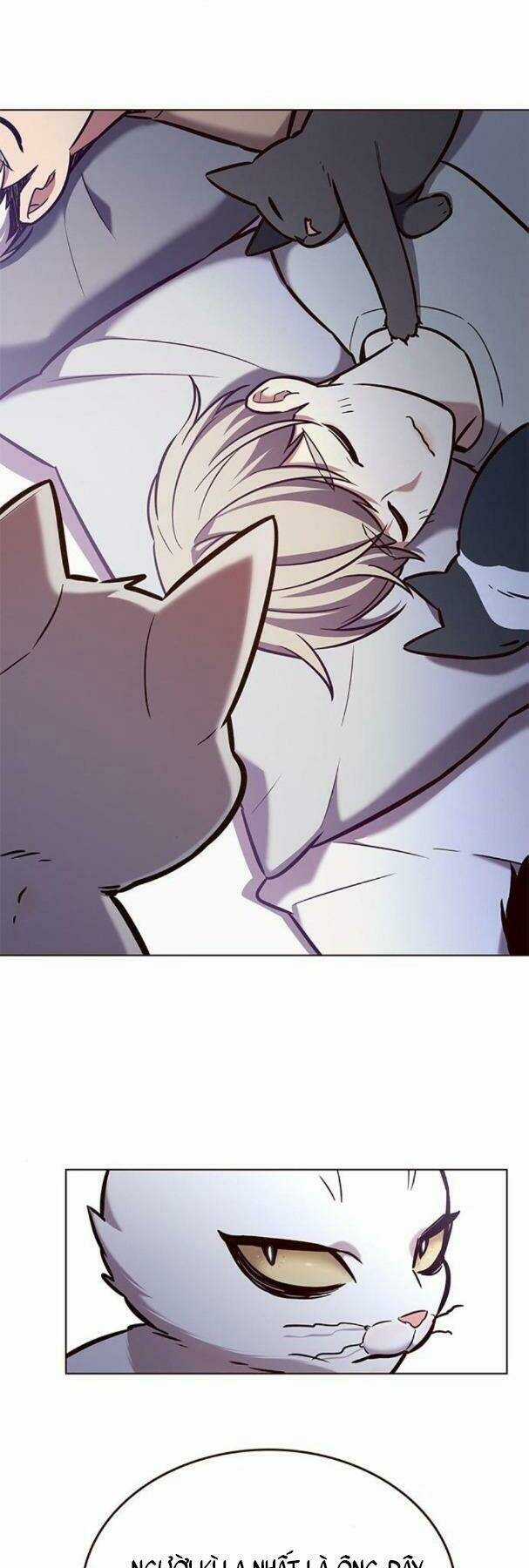 Eleceed - Hoá Thân Thành Mèo - Chapter 190 - Trang 28