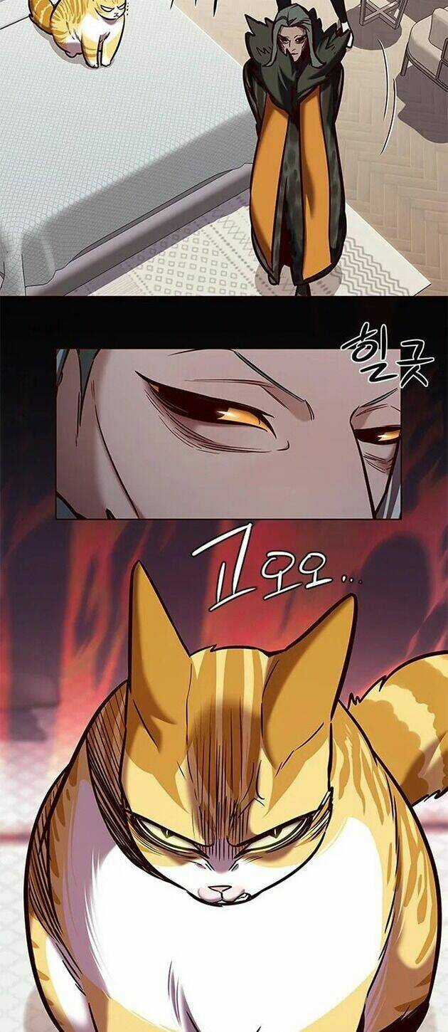 Eleceed - Hoá Thân Thành Mèo - Chapter 196 - Trang 35