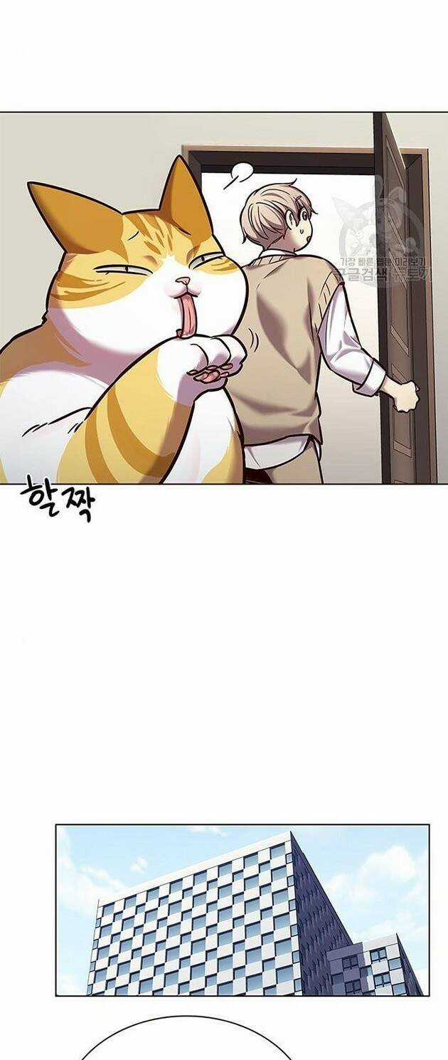 Eleceed - Hoá Thân Thành Mèo - Chapter 228 - Trang 23