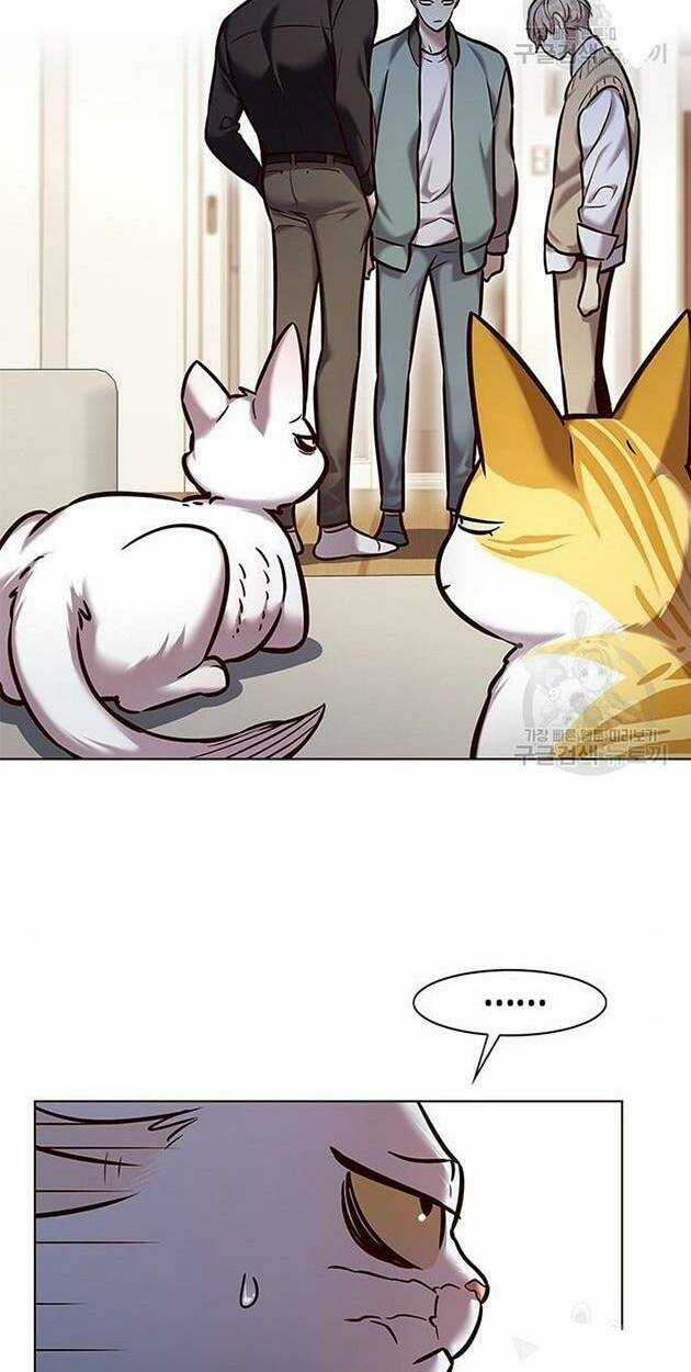 Eleceed - Hoá Thân Thành Mèo - Chapter 228 - Trang 4