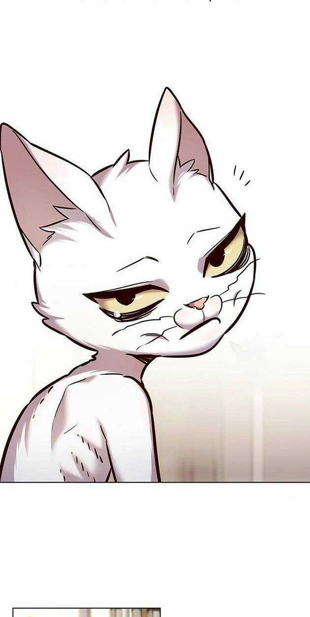 Eleceed - Hoá Thân Thành Mèo - Chapter 228 - Trang 8