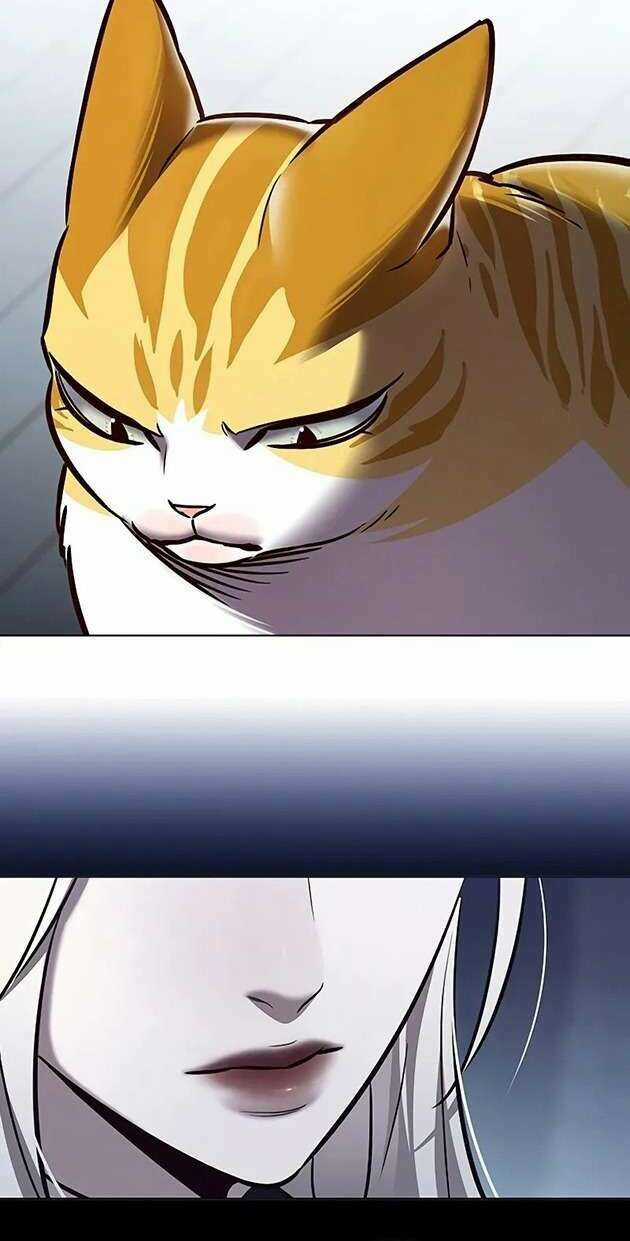 Eleceed - Chapter 270 - Trang 20