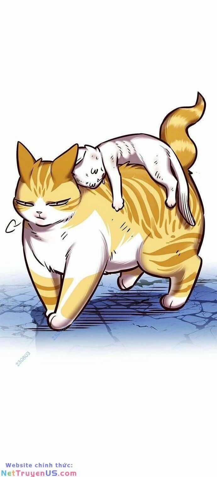 Eleceed - Chapter 275 - Trang 40