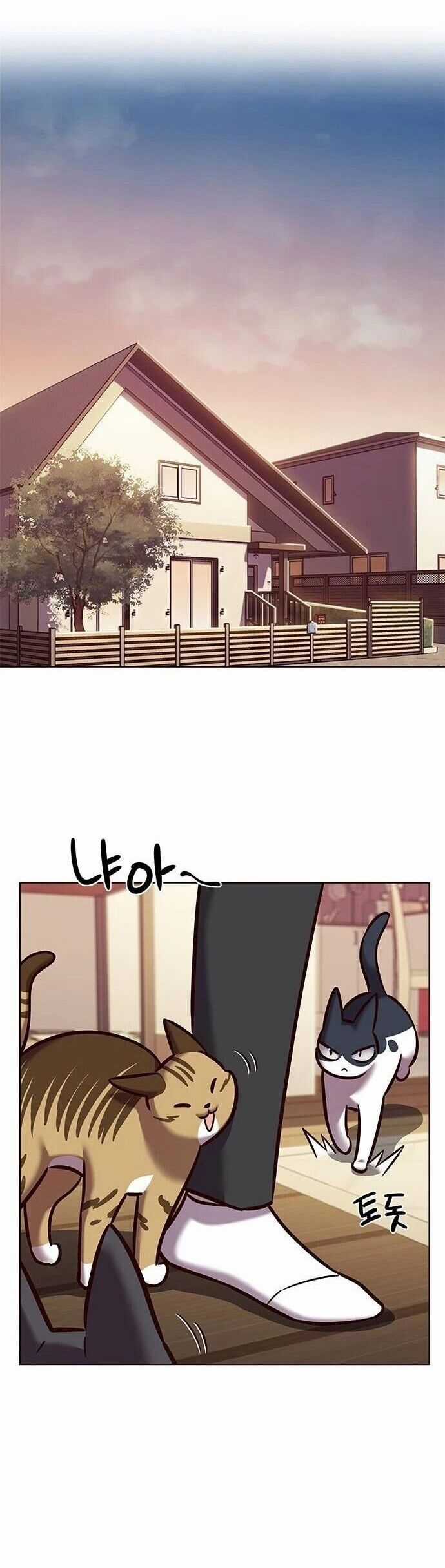 Eleceed - Chapter 279 - Trang 32