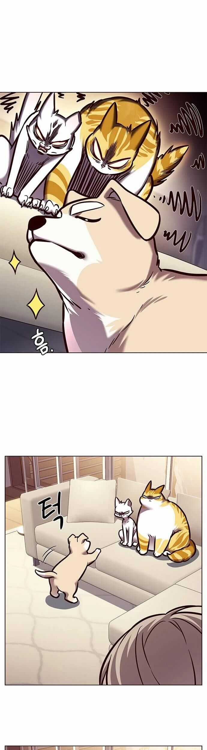 Eleceed - Chapter 279 - Trang 52