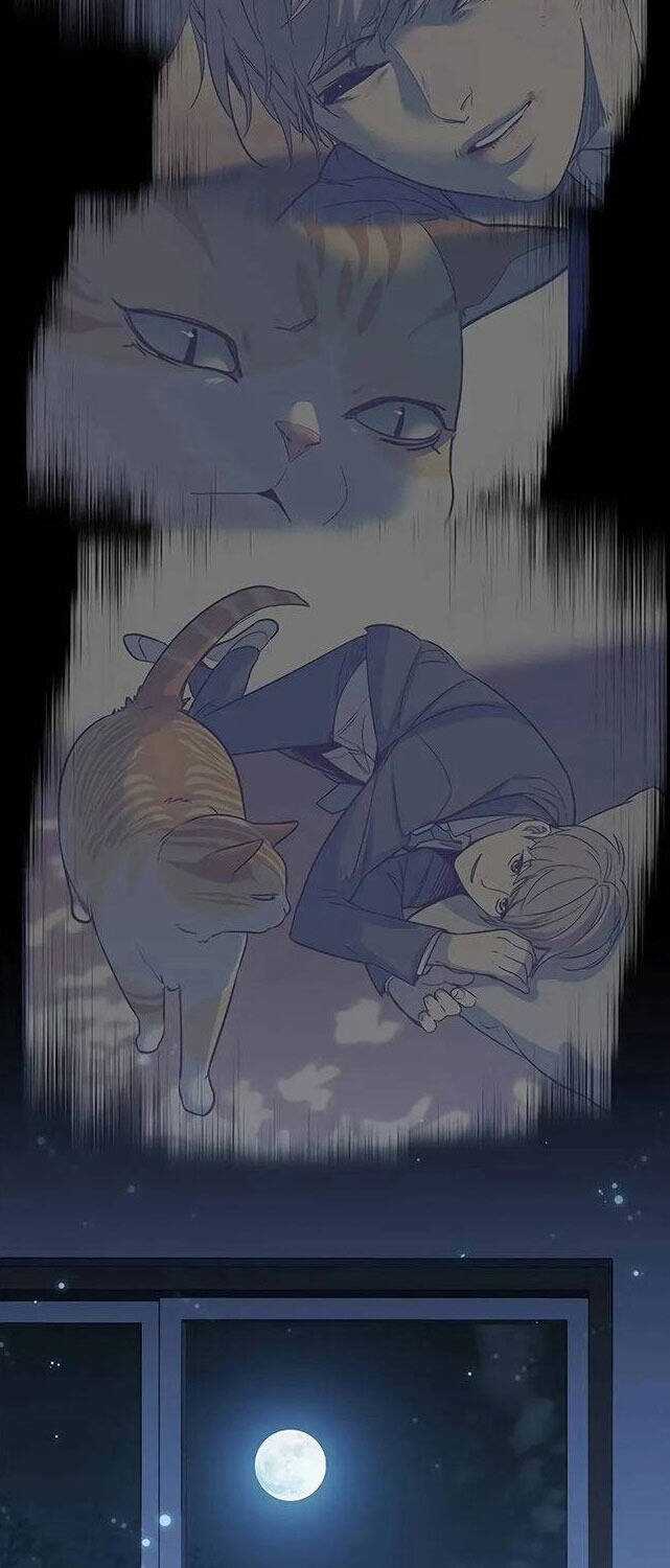 Eleceed - Chapter 309 - Trang 70