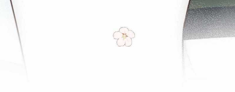 Em Đến Cùng Cơn Gió - Chapter 24 - Trang 76