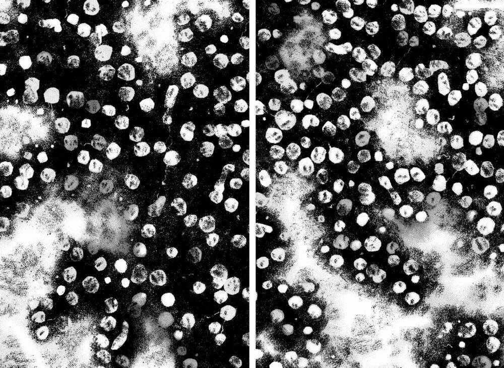 Emerging - Chapter 5 - Trang 22