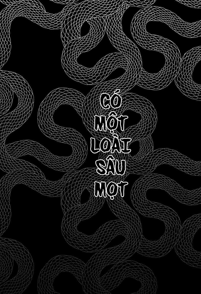 Empyreal Cabinet - Chapter 3 - Trang 1