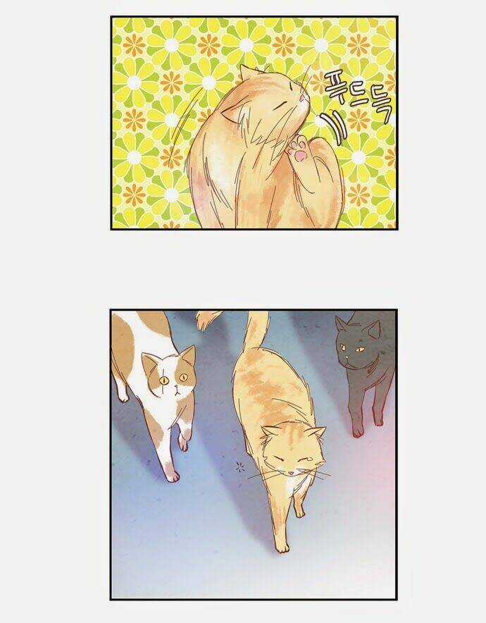 Evergreen Tea - Chapter 8 - Trang 14