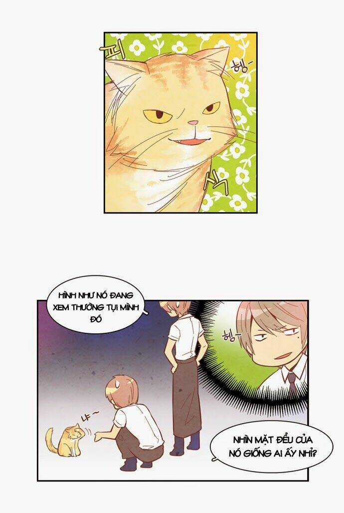 Evergreen Tea - Chapter 8 - Trang 17