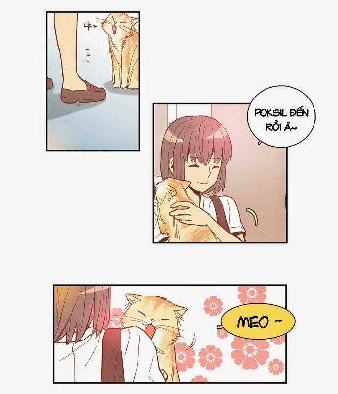 Evergreen Tea - Chapter 8 - Trang 22