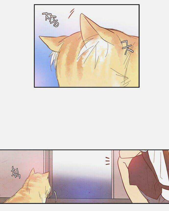 Evergreen Tea - Chapter 8 - Trang 29