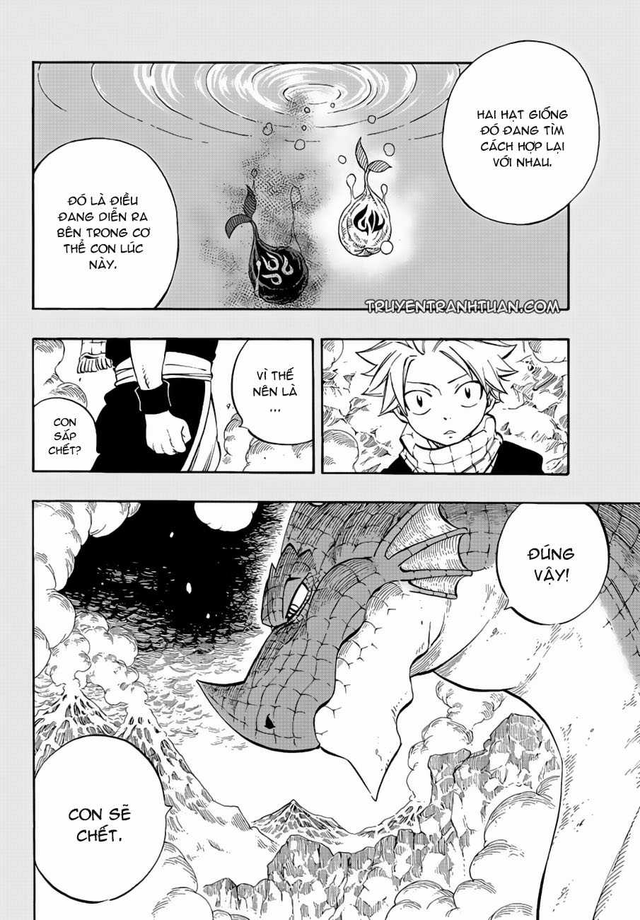 Fairy Tail - Chapter 516 - Trang 14