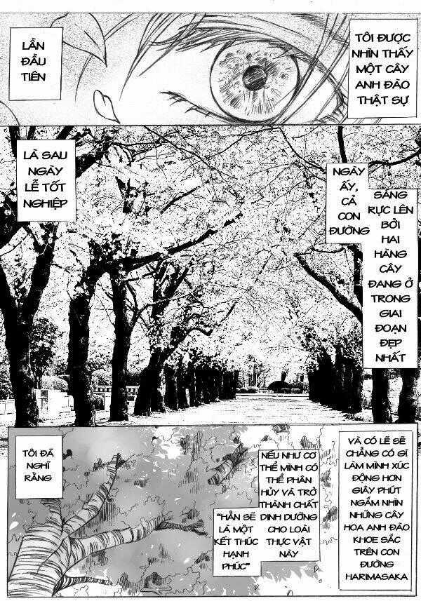 Fate - Chapter 1 - Trang 2