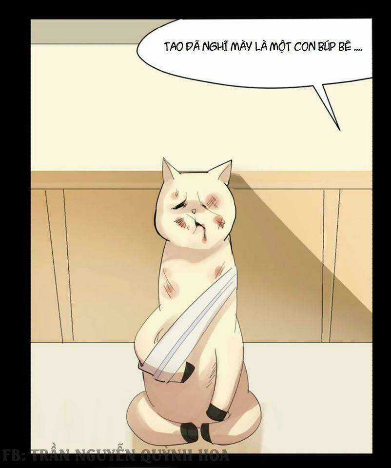 Fod Star - Chapter 1 - Trang 11