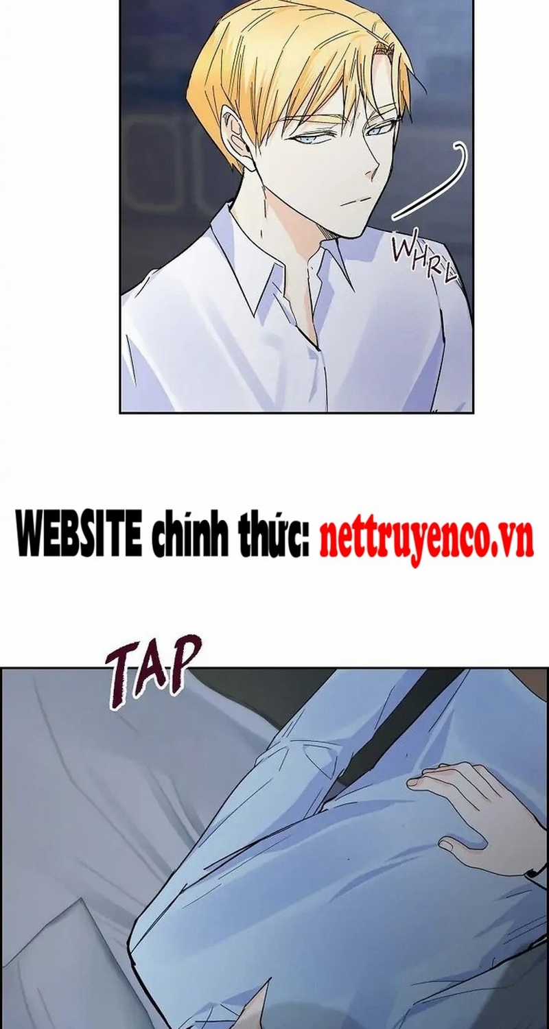 For stella - Vì Stella - Chapter 25 - Trang 41