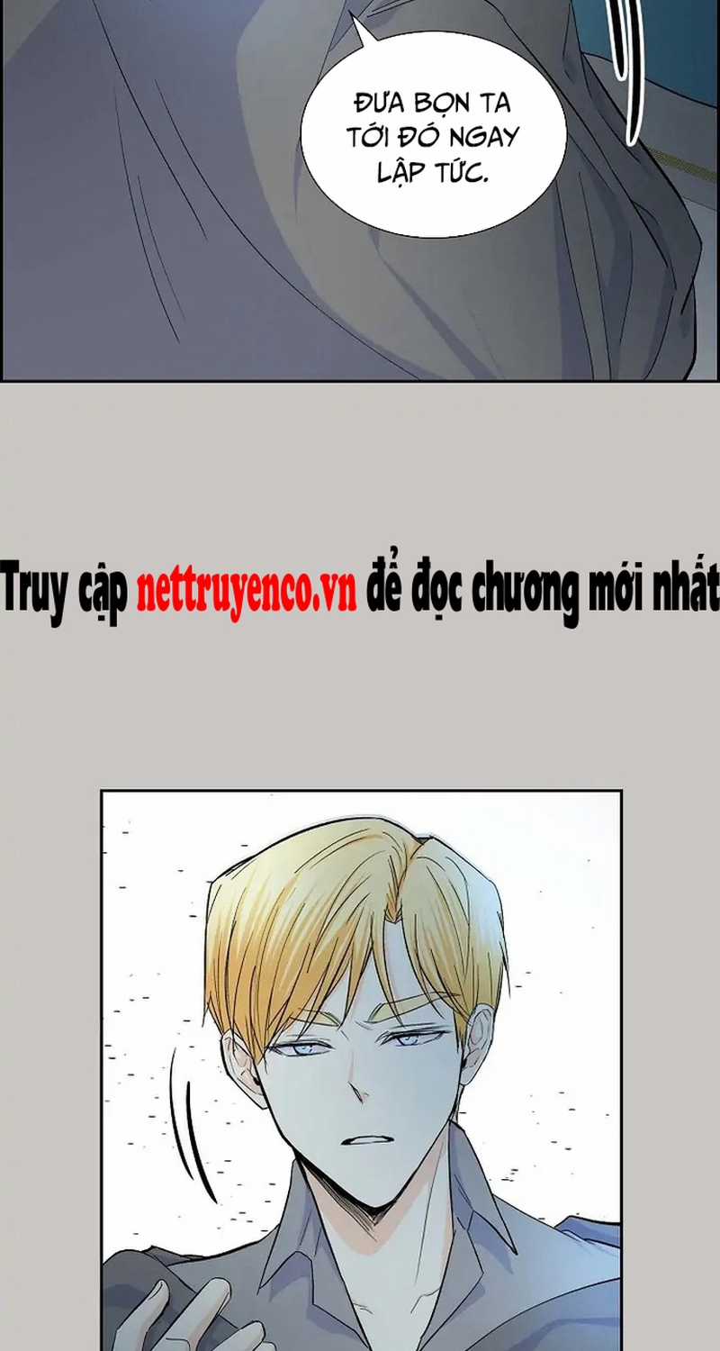 For stella - Vì Stella - Chapter 36 - Trang 56