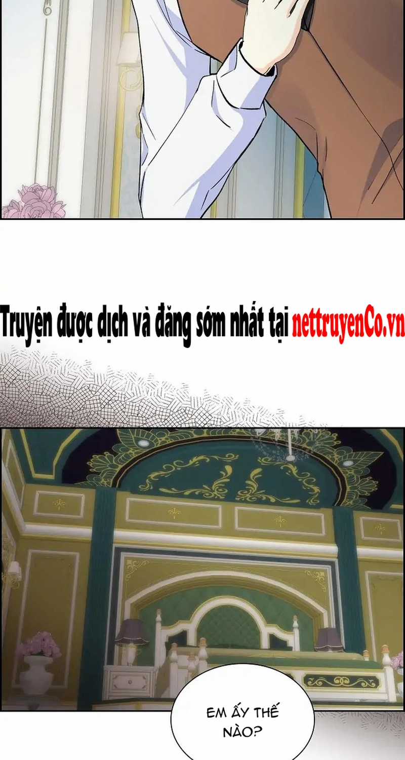 For stella - Vì Stella - Chapter 37 - Trang 11