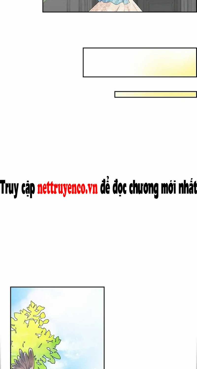 For stella - Vì Stella - Chapter 38 - Trang 14